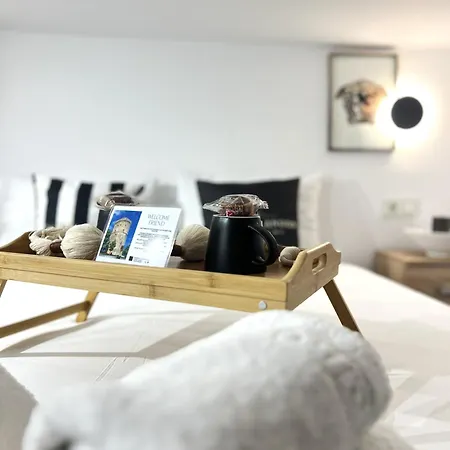 Chic Loft